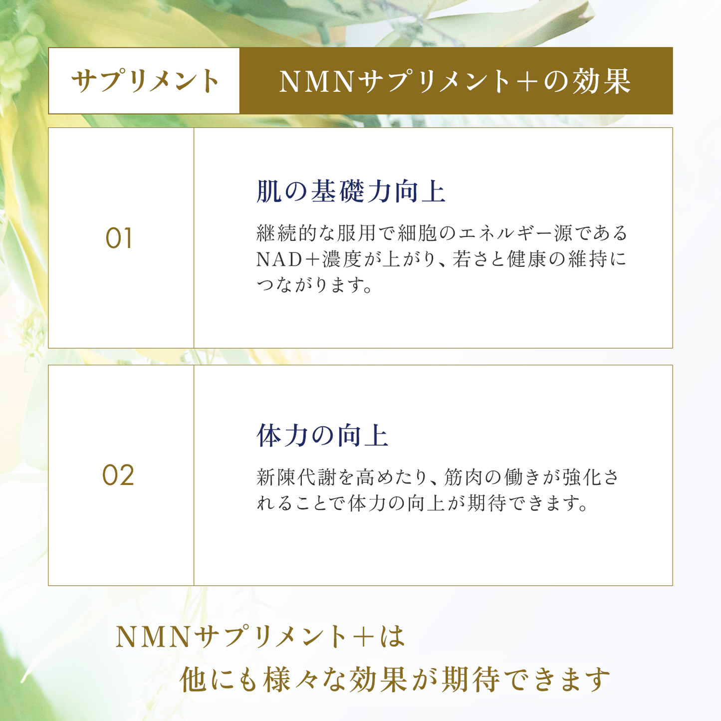 NMN
